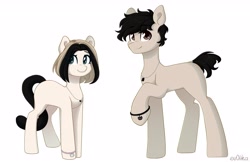 Size: 4096x2655 | Tagged: safe, artist:ev04ka, artist:ev04kaa, derpibooru import, oc, oc:aquarius, oc:eva, earth pony, pony, rcf community, reference sheet