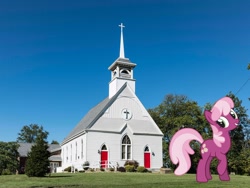 Size: 2276x1707 | Tagged: safe, derpibooru import, edit, cheerilee, earth pony, pony, christianity, church, irl, photo, religion, solo