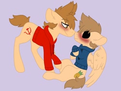 Size: 1024x768 | Tagged: safe, artist:scarecrow768, derpibooru import, earth pony, pegasus, pony, base used, black sclera, blushing, blushing profusely, boop, clothes, duo, duo male, ears, eddsworld, floppy ears, gay, hoodie, imminent kissing, looking at each other, looking at someone, male, noseboop, ponified, purple background, simple background, smiling, tom (eddsworld), tomtord, tord (eddsword)