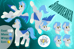 Size: 3600x2400 | Tagged: safe, artist:saxpony, derpibooru import, oc, oc:stormbreaker, pegasus, male, pegasus oc, reference sheet, stallion