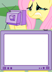 Size: 1126x1542 | Tagged: safe, derpibooru import, fluttershy, crying, exploitable meme, meme, meme template, obligatory pony, simple background, solo, transparent background, tv meme