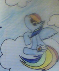 Size: 271x329 | Tagged: safe, artist:rosedawolfff, derpibooru import, rainbow dash, solo, traditional art