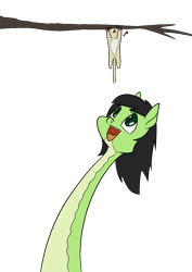 Size: 1000x1414 | Tagged: safe, artist:happy harvey, derpibooru import, oc, oc:anon filly, cat, original species, snake, snake pony, drawn on phone, exclamation point, fangs, female, filly, foal, forked tongue, hanging, kitten, looking up, open mouth, simple background, slit eyes, species swap, transparent background, tree, tree branch