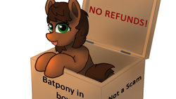 Size: 1920x1080 | Tagged: safe, artist:puginpocket, derpibooru import, oc, oc only, oc:scarfy bat-heart, earth pony, pony, box, brown mane, delivery, earth pony oc, female, green eyes, looking at you, mare, open mouth, open smile, pony in a box, scam, simple background, smiling, smiling at you, solo, white background