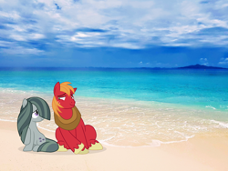 Size: 1600x1200 | Tagged: safe, artist:cirillaq, derpibooru import, big macintosh, marble pie, earth pony, pony, beach, female, irl, male, marblemac, mare, ocean, photo, ponies in real life, shipping, stallion, straight, water