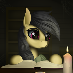 Size: 3000x3000 | Tagged: safe, artist:palibrik, derpibooru import, daring do, pegasus, pony, book, candle, female, reading, solo