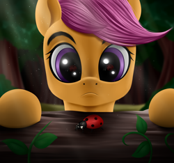 Size: 3200x3000 | Tagged: safe, artist:palibrik, derpibooru import, scootaloo, insect, ladybug, pegasus, pony, female, filly, foal, solo