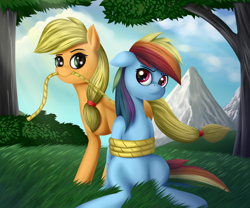 Size: 1920x1600 | Tagged: safe, artist:palibrik, derpibooru import, applejack, rainbow dash, pony, bondage, duo, female, mountain, rope, rope bondage, tree