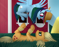 Size: 3800x3000 | Tagged: safe, artist:palibrik, derpibooru import, applejack, rainbow dash, earth pony, pegasus, pony, accessory theft, barn, bondage, duo, female, grass, lying down, on back, rope, rope bondage