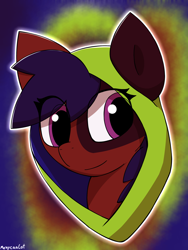 Size: 1768x2357 | Tagged: safe, artist:monycaalot, derpibooru import, oc, oc:mony caalot, earth pony, pony, abstract background, cap, hat, looking at you, solo, three quarter view