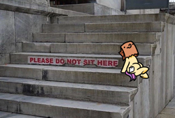 Size: 1080x729 | Tagged: safe, artist:paperbagpony, derpibooru import, oc, oc only, oc:paper bag, earth pony, pony, crime, criminal, earth pony oc, fuck the police, irl, photo, ponified animal photo, solo, stairs