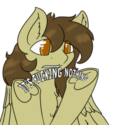 Size: 4000x4000 | Tagged: safe, artist:dirtpecker, derpibooru import, oc, oc only, oc:static spark, pegasus, pony, simple background, solo, swearing, transparent background, unamused, vulgar, wings