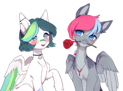 Size: 2634x1944 | Tagged: safe, artist:miioko, derpibooru import, oc, oc only, pegasus, pony, colored wings, duo, ear piercing, flower, flower in mouth, jewelry, mouth hold, necklace, oc x oc, open mouth, pegasus oc, piercing, raised hoof, raised leg, rose, shipping, simple background, transparent background, two toned wings, wings