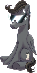 Size: 770x1500 | Tagged: safe, artist:crystalightrocket, derpibooru import, oc, oc:greywind, pegasus, pony, 2022 community collab, derpibooru community collaboration, male, pegasus oc, simple background, smiling, solo, stallion, sunglasses, transparent background