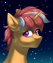 Size: 1200x1434 | Tagged: safe, artist:tigra0118, derpibooru import, oc, pony, unicorn, bust, digital art, male, my little pony, portrait, snow, solo