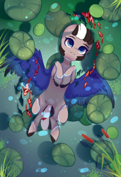 Size: 1300x1900 | Tagged: safe, alternate version, artist:nazori, derpibooru import, oc, oc only, fish, pegasus, pony, alternate character, commission, featureless crotch, lilypad, lying down, on back, outdoors, pegasus oc, pond, reed, solo, spread wings, unshorn fetlocks, water, wings, ych result