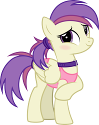Size: 1754x2216 | Tagged: safe, artist:lightning stripe, derpibooru exclusive, derpibooru import, oc, oc only, oc:evensong, pegasus, pony, 2022 community collab, blushing, clothes, collar, commission, cute, cutie mark, derpibooru community collaboration, embarrassed, female, folded wings, full body, hairband, mare, ocbetes, one-piece swimsuit, pegasus oc, ponytail, purple eyes, purple mane, show accurate, simple background, smiling, solo, standing, swimsuit, tail, three quarter view, transparent background, two toned mane, two toned tail, vector, wings, yellow coat