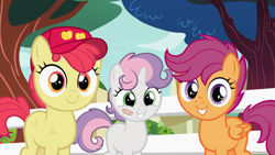 Size: 1280x720 | Tagged: safe, edit, edited screencap, editor:deserter, screencap, apple bloom, scootaloo, sweetie belle, earth pony, pegasus, pony, unicorn, marks for effort, adorabloom, alternate hairstyle, bandaid, blank flank, cap, cute, cutealoo, cutie mark crusaders, diasweetes, female, filly, foal, grin, hat, looking at you, smiling, smiling at you, tomboy, trio, trucker hat