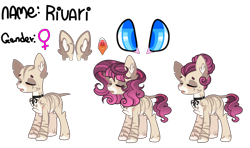 Size: 4000x2364 | Tagged: safe, artist:enifersuch, derpibooru import, oc, oc only, earth pony, pony, bald, base used, earth pony oc, female, reference sheet, simple background, transparent background