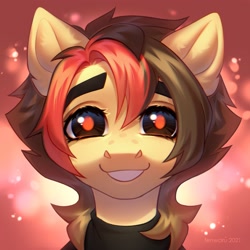 Size: 2000x2000 | Tagged: safe, artist:fenwaru, derpibooru import, oc, oc only, pony, bust, grin, portrait, smiling, solo