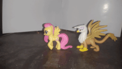 Size: 640x360 | Tagged: safe, artist:dex stewart, derpibooru import, fluttershy, gilda, griffon, pegasus, animated, chase, gif, stare, stop motion, the stare, toy