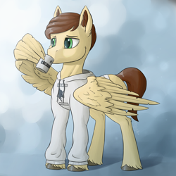 Size: 3000x3000 | Tagged: safe, artist:stardustspix, oc, oc only, oc:finicus, oc:second wind, pegasus, pony, equestria at war mod, abstract background, brown mane, clothes, ear fluff, ears, hoodie, lidded eyes, looking to side, looking to the left, mug, solo, standing, unshorn fetlocks, wing hands, wings