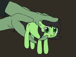 Size: 1080x810 | Tagged: safe, artist:omelettepony, ponerpics import, oc, oc only, oc:anon, oc:anon filly, earth pony, human, pony, earth pony oc, female, filly, foal, hand, holding a pony, looking at you, open mouth, open smile, ponified, ponified animal photo, question mark, simple background, smiling