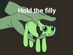 Size: 569x427 | Tagged: safe, artist:omelettepony, ponerpics import, oc, oc only, oc:anon, oc:anon filly, earth pony, human, pony, earth pony oc, female, filly, foal, hand, holding a pony, looking at you, open mouth, open smile, ponified, ponified animal photo, question mark, simple background, smiling, text