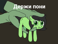 Size: 569x427 | Tagged: safe, artist:omelettepony, ponerpics import, oc, oc only, oc:anon, oc:anon filly, earth pony, human, pony, cyrillic, female, filly, foal, hand, holding a pony, looking at you, open mouth, open smile, ponified, ponified animal photo, question mark, russian, simple background, smiling, text