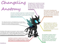 Size: 1416x1047 | Tagged: safe, derpibooru import, changeling, anatomy, chart, diagram, information, simple background, solo, transparent background