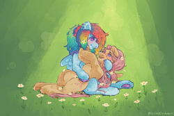 Size: 1280x854 | Tagged: safe, artist:coconutsoupp, derpibooru import, fluttershy, rainbow dash, pegasus, pony, female, flower, flower in hair, flutterdash, holding a pony, lesbian, looking at each other, looking at someone, mare, shipping