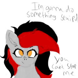 Size: 5000x5000 | Tagged: safe, artist:houndy, derpibooru import, oc, oc:cinder, bat pony, bat pony oc, red and black oc, sketch, text