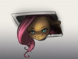 Size: 4000x3044 | Tagged: safe, artist:miokomata, derpibooru import, fluttershy, pegasus, pony, behaving like a cat, ceiling pony, creepy, creepy smile, ears, female, floppy ears, freckles, freckleshy, high res, looking at you, looking down, looking down at you, mare, ponified animal photo, smiling, solo