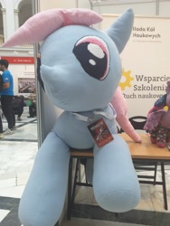 Size: 3096x4128 | Tagged: safe, derpibooru import, twilight sparkle, twilight sparkle (alicorn), oc, oc:trybik, alicorn, earth pony, pony, badge, irl, photo, plushie, poland, university, warsaw