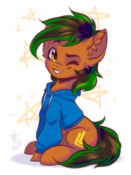 Size: 2893x3855 | Tagged: safe, artist:falafeljake, derpibooru import, oc, oc only, oc:patutu, earth pony, pony, male, one eye closed, solo, wink