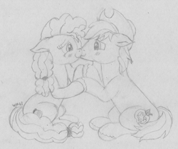 Size: 2717x2280 | Tagged: safe, artist:wapamario63, bright mac, pear butter, earth pony, pony, the perfect pear, blushing, brightbutter, cute, duo, female, hat, husband and wife, male, mare, married couple, monochrome, shipping, sketch, smiling, stallion, straight, traditional art