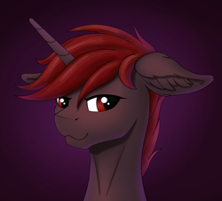 Size: 2366x2138 | Tagged: safe, artist:fess, derpibooru import, oc, oc:hardy, alicorn, pony, bust, looking at you, male, portrait, solo, stallion