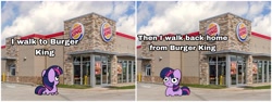 Size: 3464x1309 | Tagged: safe, artist:kittyrosie, derpibooru import, twilight sparkle, twilight sparkle (alicorn), alicorn, pony, boulevard of broken dreams, burger king, green day, irl, meme, parody of a parody, photo, squatpony, twiggie