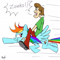 Size: 2048x2048 | Tagged: safe, artist:fanartist2020, derpibooru import, rainbow dash, human, pegasus, pony, crossover, duo, female, male, riding, riding a pony, scooby doo, shaggy rogers, simple background, white background