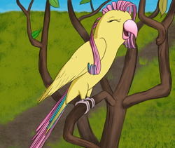 Size: 1280x1080 | Tagged: safe, artist:parronist, derpibooru import, fluttershy, bird, parrot, birdified, eyes closed, female, solo, species swap, yay