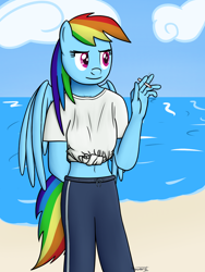 Size: 1440x1920 | Tagged: safe, artist:parronist, derpibooru import, rainbow dash, anthro, pegasus, pony, beach, cigarette, female, ocean, smoking, solo, water