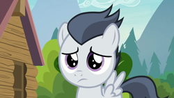Size: 1920x1080 | Tagged: safe, derpibooru import, screencap, rumble, pegasus, pony, marks and recreation, season 7, 1080p, close-up, colt, cute, foal, frown, looking at you, male, rumblebetes, sad, sadorable, solo, spread wings, wings