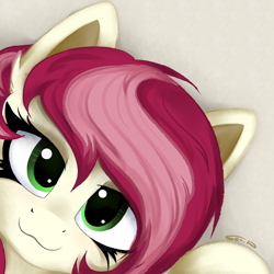 Size: 4000x4000 | Tagged: safe, artist:ser-p, derpibooru import, roseluck, earth pony, pony, :3, absurd resolution, female, looking at you, mare, simple background, solo