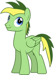 Size: 2170x3005 | Tagged: safe, artist:didgereethebrony, artist:emperor-anri, derpibooru import, oc, oc:didgeree, pegasus, pony, base used, simple background, smiling, solo, trace, transparent background