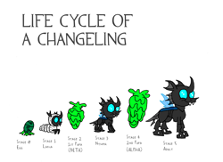 Size: 3508x2552 | Tagged: safe, artist:dragonboi471, derpibooru import, changeling, changeling larva, nymph, caption, changeling egg, changeling slime, cocoon, egg, evolution chart, image macro, life cycle, text