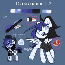 Size: 1000x1000 | Tagged: safe, artist:sugarpersonlove, derpibooru import, oc, oc only, pegasus, pony, reference sheet, solo