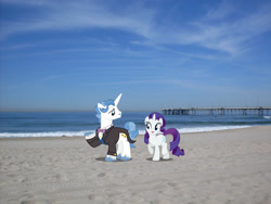 Size: 2048x1536 | Tagged: safe, derpibooru import, fancypants, rarity, pony, unicorn, beach, california, clothes, female, irl, los angeles, male, mare, photo, ponies in real life, raised hoof, raised leg, sand, stallion