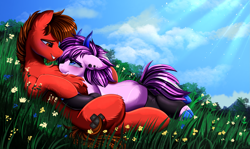 Size: 3517x2095 | Tagged: safe, artist:pridark, derpibooru import, oc, oc only, oc:katon ora, oc:purple mayflower, earth pony, pony, blue sky, couple, cute, duo, flower, sun rays