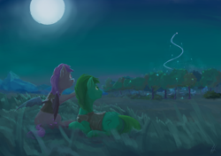 Size: 2450x1720 | Tagged: safe, artist:marker, oc, oc only, oc:anon, oc:anon stallion, oc:willow wisp, bat pony, earth pony, pony, cyoa, cyoa:fatelocked, female, field, full moon, grass, grass field, male, mare, moon, moonlight, sitting, stallion, will o' the wisp, woodlands