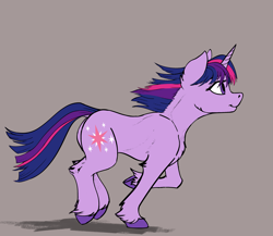 Size: 2223x1929 | Tagged: safe, artist:crimsonwolf360, derpibooru import, twilight sparkle, unicorn twilight, pony, unicorn, cheek fluff, chest fluff, ear fluff, ears, female, gray background, hooves, leg fluff, looking forward, mare, raised hoof, raised leg, short mane, simple background, slim, smiling, solo, unshorn fetlocks, windswept mane